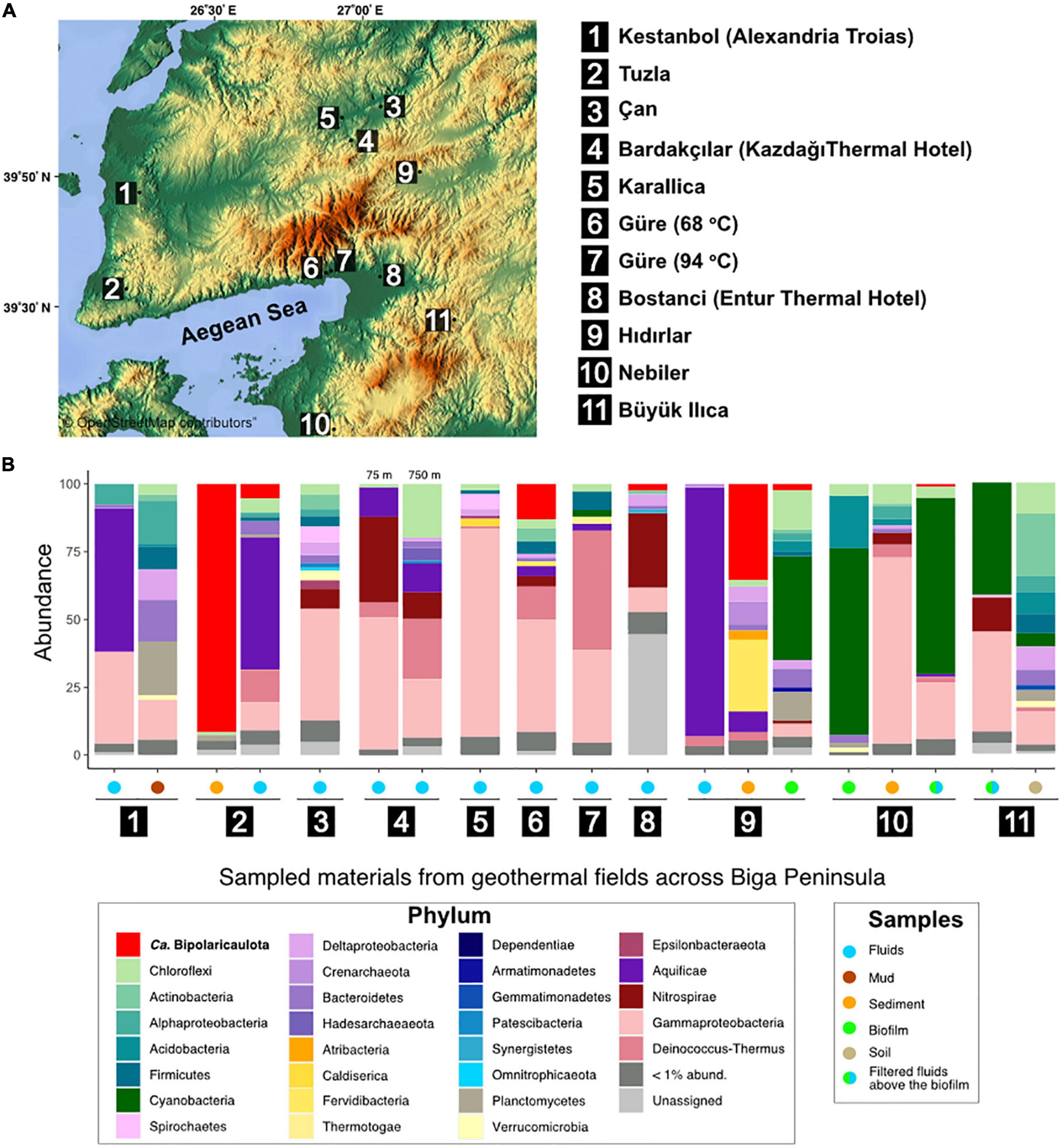 Carbon metabolism and biogeography of candidate phylum “Candidatus Bipolaricaulota” in geothermal environments of Biga Peninsula, Turkey